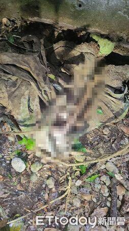 ▲新北八煙野溪驚現人骨 警採DNA比對身分。（圖／記者郭世賢翻攝）