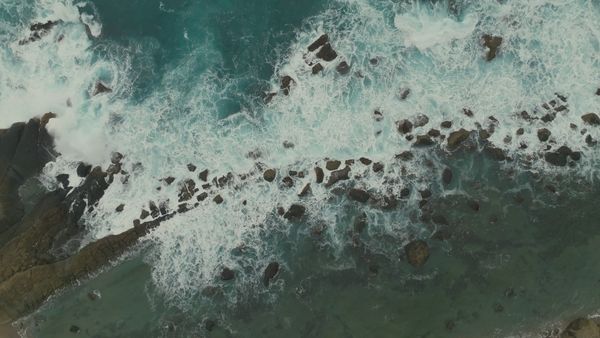 ▲《造山者－世紀的賭注》張忠謀現身戲院。（圖／牽猴子提供）