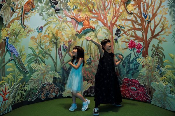 ▲桃園兒美館跨國館際合作推出「在藝術中遇見大自然」特展