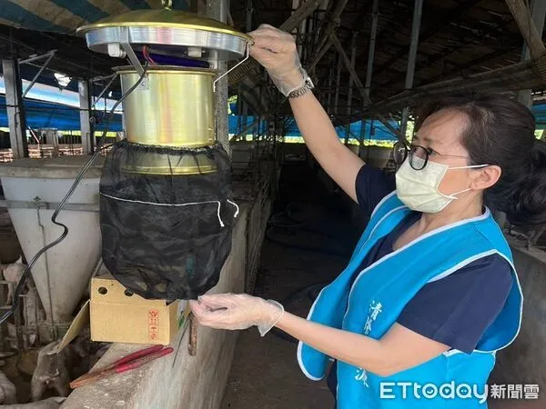 ▲豬舍掛蚊燈。（圖／屏東縣政府提供）