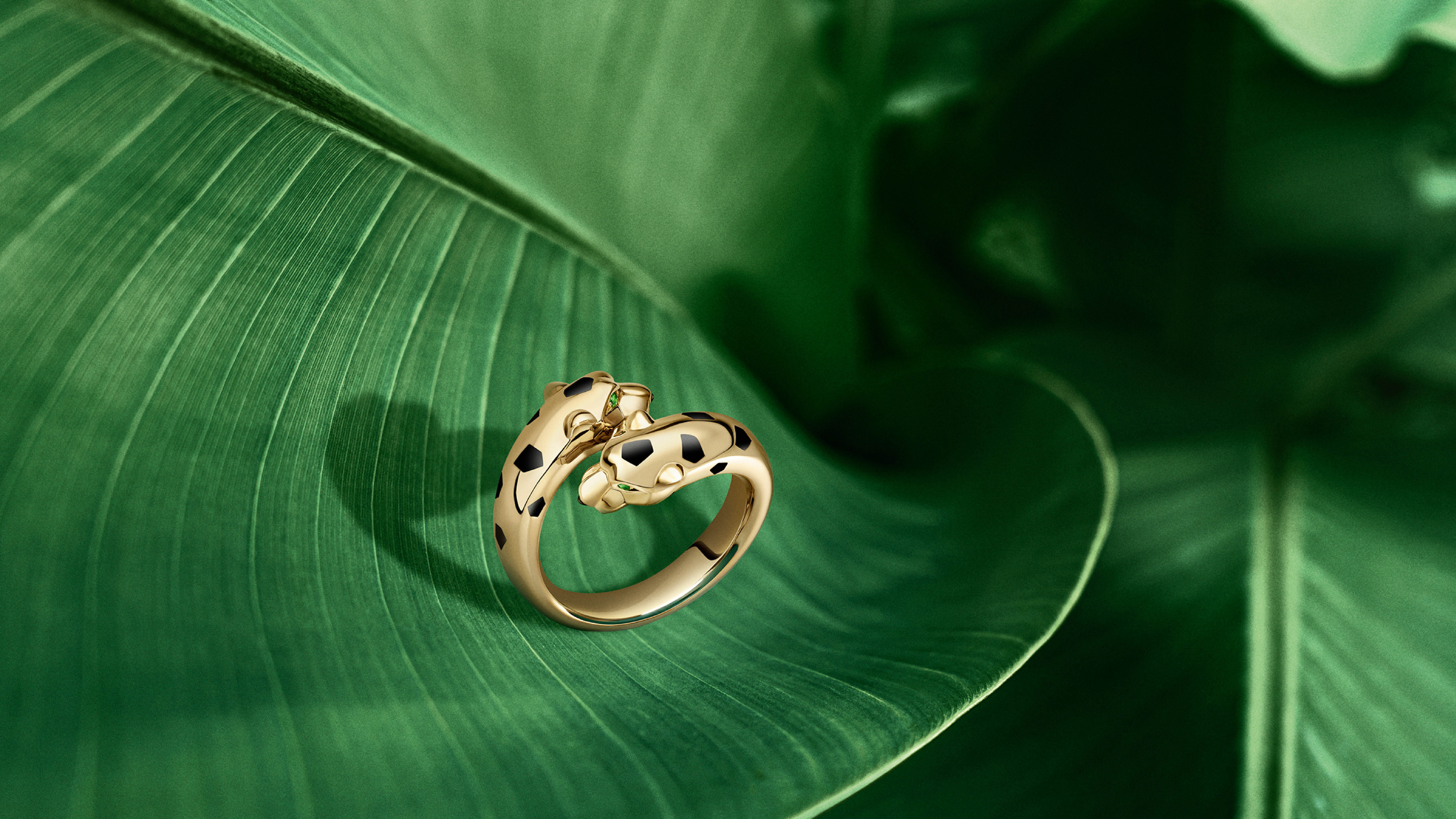 ▲▼ Cartier            。（圖／公關照）