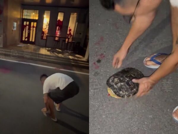 ▲▼             。（圖／記者許權毅攝）