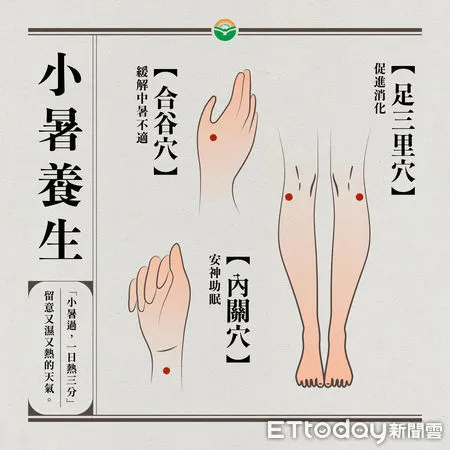 小暑穴位養生。（圖／馬光中醫提供）