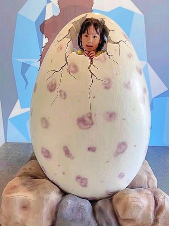 ▲▼臺南左鎮化石園區。（圖／部落客紫色微笑授權提供）