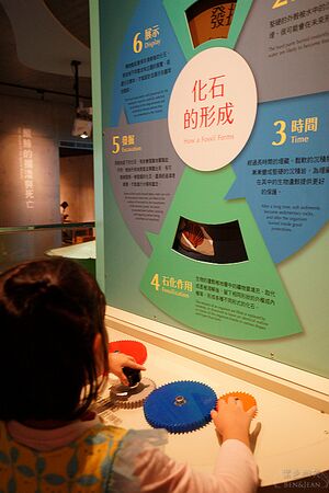 ▲▼臺南左鎮化石園區。（圖／部落客紫色微笑授權提供）