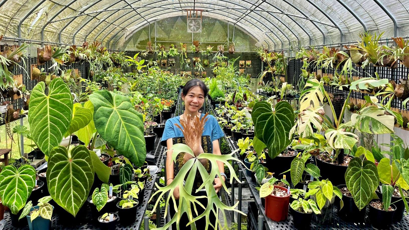 ▲新北「植愈蒔光節」42攤綠植療癒身心。（圖／新北市農業局提供）