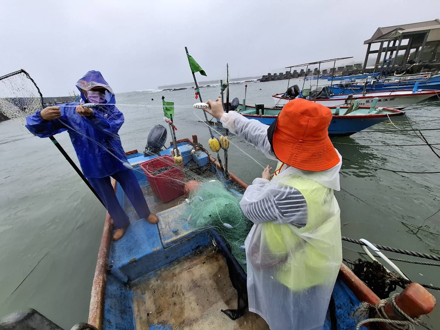▲新北海洋永續三策略。（圖／新北市農業局提供）