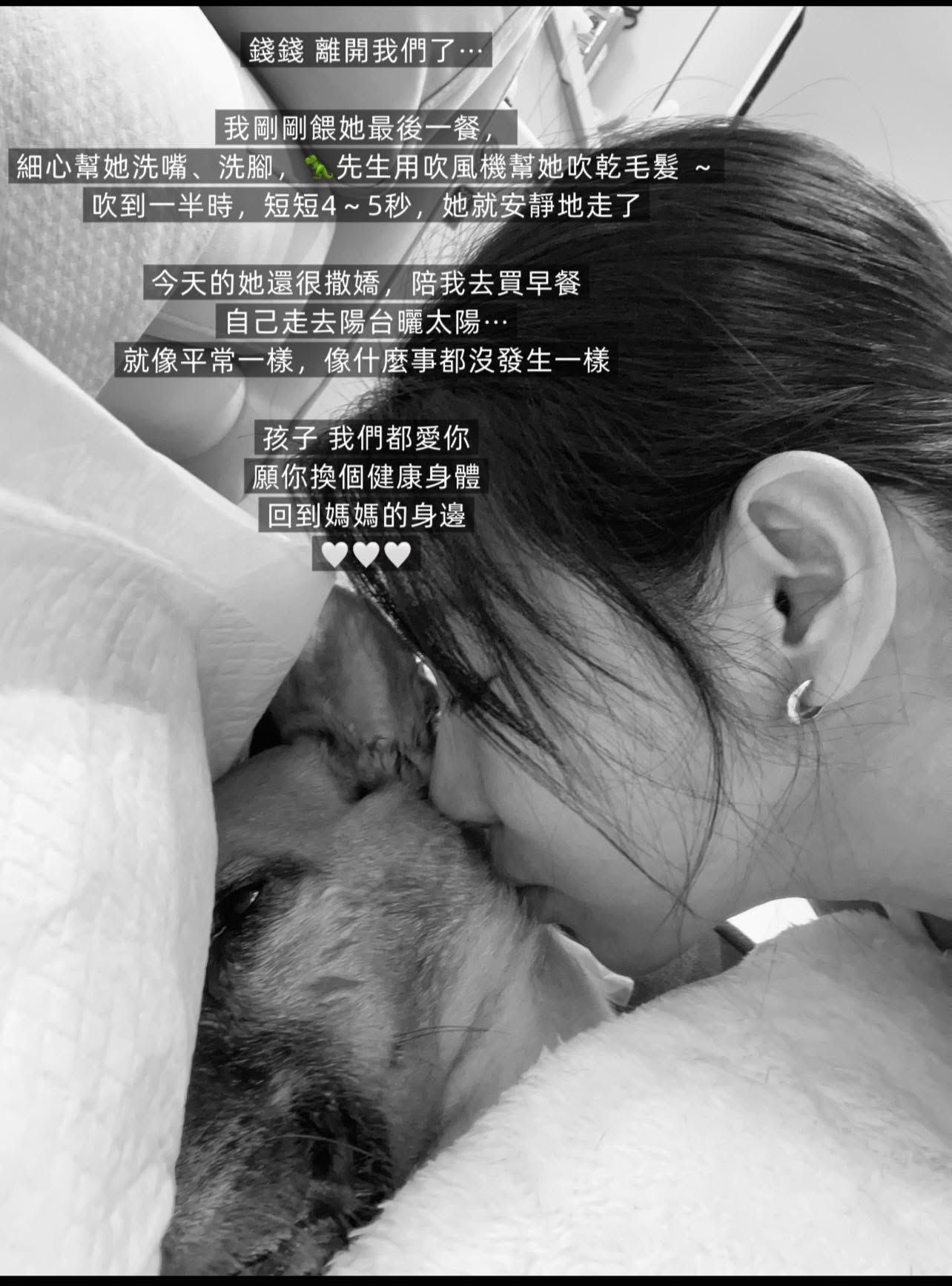 ▲▼米可白愛犬錢錢離世！她忍淚吻別曝最後相處時光。（圖／翻攝自Facebook／米可白）