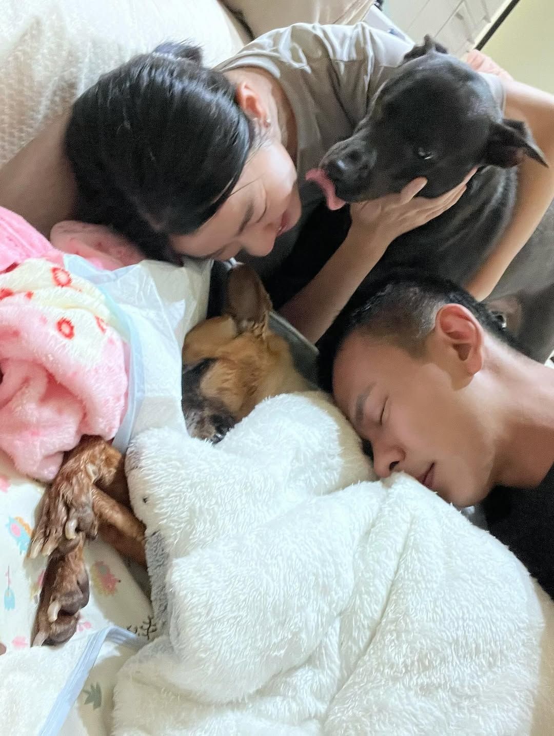 ▲▼米可白愛犬錢錢離世！她忍淚吻別曝最後相處時光。（圖／翻攝自Facebook／米可白）