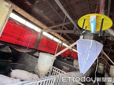 雲林今年首例日本腦炎！北港60歲男無旅遊史　住家附近有豬舍