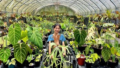 新北「植愈蒔光節」42攤療癒身心　闖關送盆栽打卡再抽獎