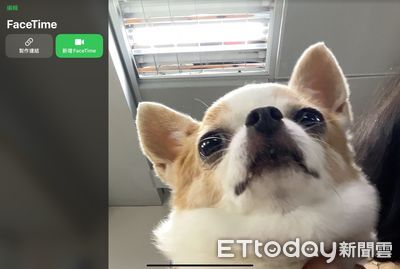 FaceTime裸露偵測新功能將上線？iOS 26測試版驚見自動凍結視訊通話