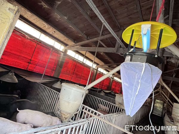 ▲日本腦炎患者住家方圓3公里內有豬舍等高風險場域，衛生局已於豬舍放置誘蚊燈，並加強養豬業者防疫宣導。（圖／記者游瓊華翻攝）
