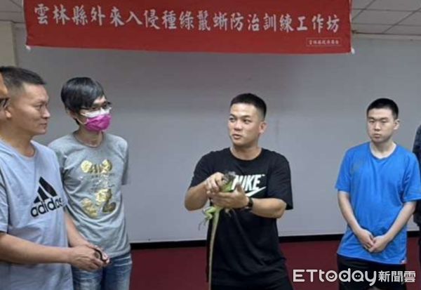▲雲林縣政府辦理首場針對民眾的綠鬣蜥移除教育訓練課程，共有25位學員完成訓練並通過考核。（圖／記者游瓊華翻攝）