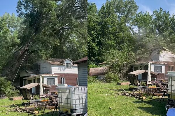 ▲▼為整修砍大樹　結果整棟屋被「壓成廢墟」。（圖／翻攝自IG／＠newcoremetal）