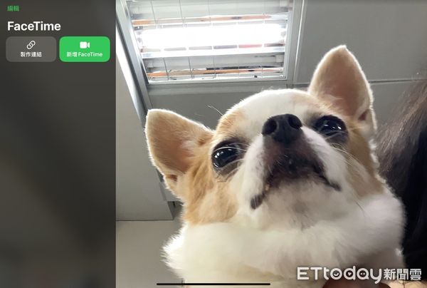 ▲▼FaceTime。（圖／記者吳立言攝）