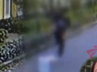 假意餵食！變態男在幼兒園門口「虐殺4隻浪貓」　兇殘手法引網怒