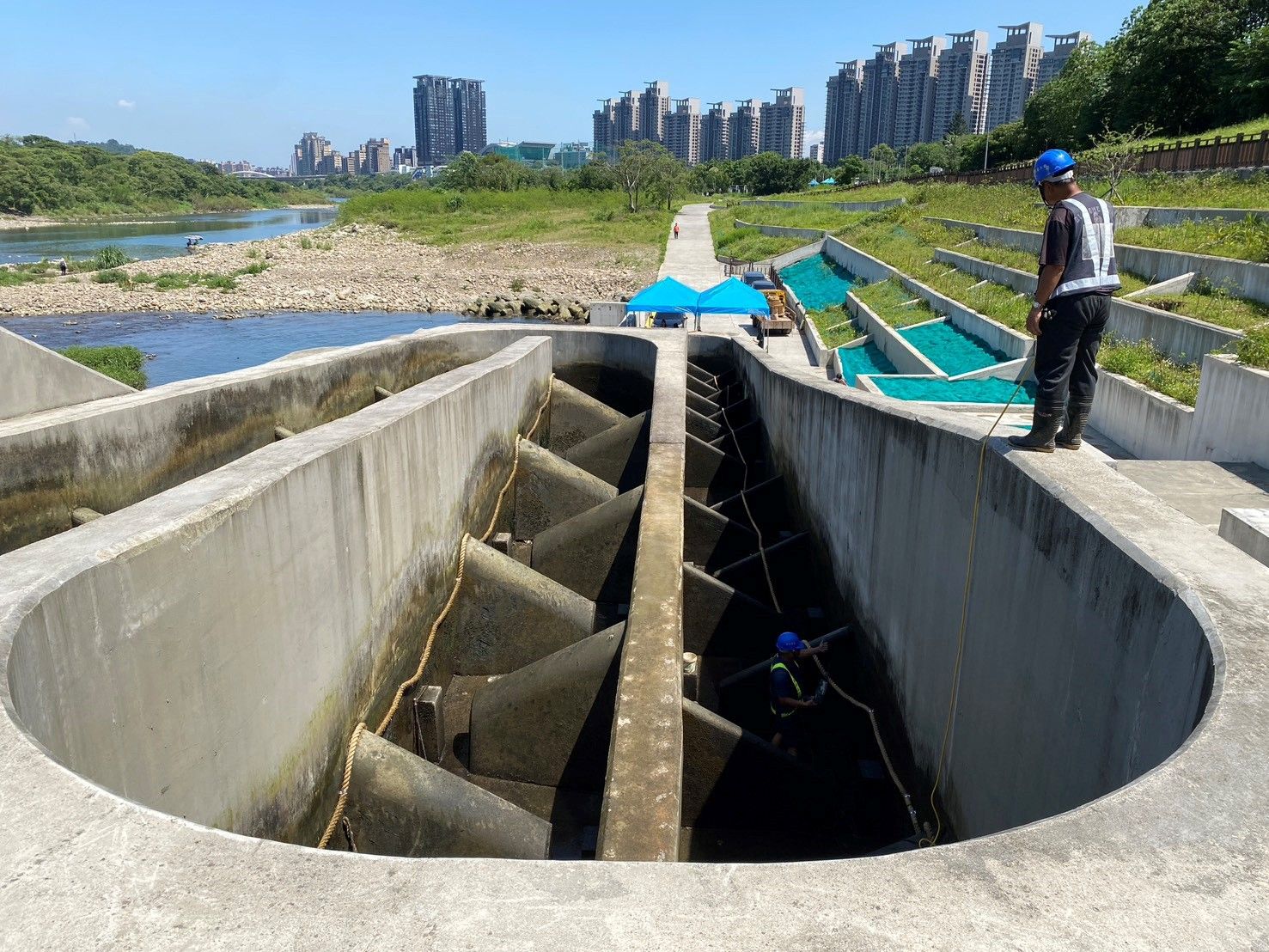 ▲侯友宜視察碧潭堰 見證生態廊道重生。（圖／新北市水利局提供）