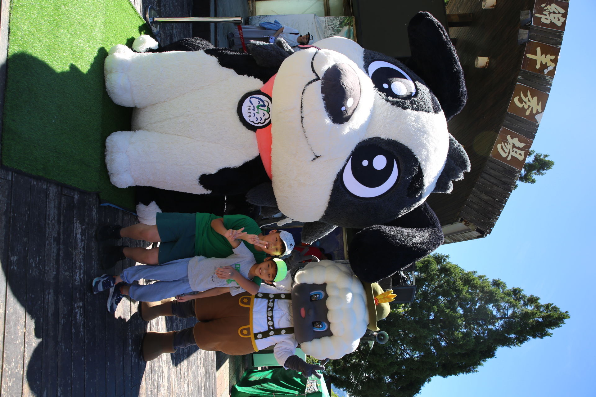 ▲清境牧羊犬氣球亮相命名出爐，反詐宣導、有獎徵答與住宿抽獎同步登場，遊客熱情參與夏日同樂會。（圖／清境農場提供）