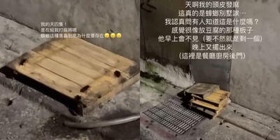 台北知名老店「食物器具狂爬蟑螂」放水溝上 業者道歉:停售2周
