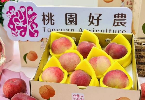 ▲好康來了！桃園「水蜜桃趴」7/5、6入場抽水蜜桃、龍蝦、鱈場蟹