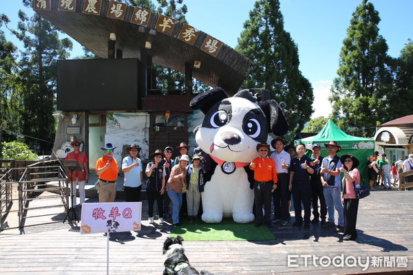 ▲清境牧羊犬氣球亮相命名出爐，反詐宣導、有獎徵答與住宿抽獎同步登場，遊客熱情參與夏日同樂會。（圖／清境農場提供）