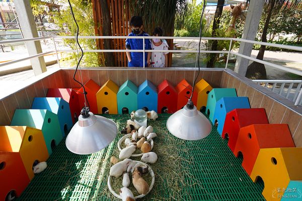 ▲▼三隻小豬觀光農場。（圖／部落客紫色微笑＊饗樂生活授權提供）