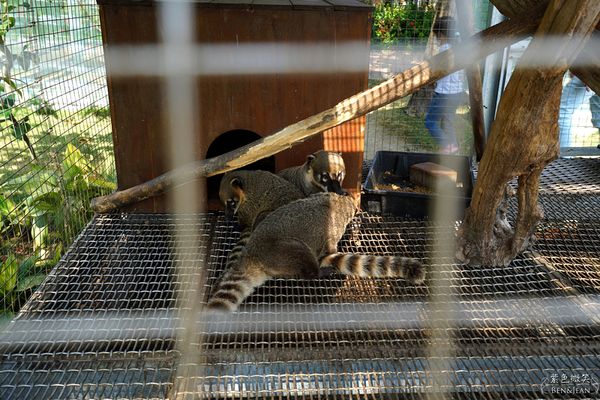 ▲▼三隻小豬觀光農場。（圖／部落客紫色微笑＊饗樂生活授權提供）