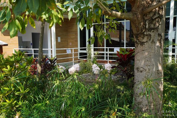 ▲▼三隻小豬觀光農場。（圖／部落客紫色微笑＊饗樂生活授權提供）