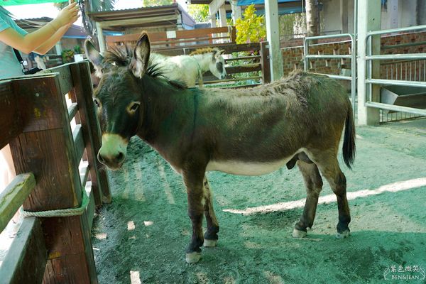 ▲▼三隻小豬觀光農場。（圖／部落客紫色微笑＊饗樂生活授權提供）