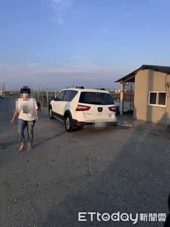▲▼            高雄鑽石沙灘附近經常有愛媽拿雞頭餵食流浪狗 。（圖／民眾提供，下同）