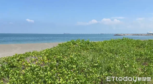 ▲▼高雄永安區海邊野狗咬死泳客，在地民眾訪問。（圖／記者吳奕靖翻攝）