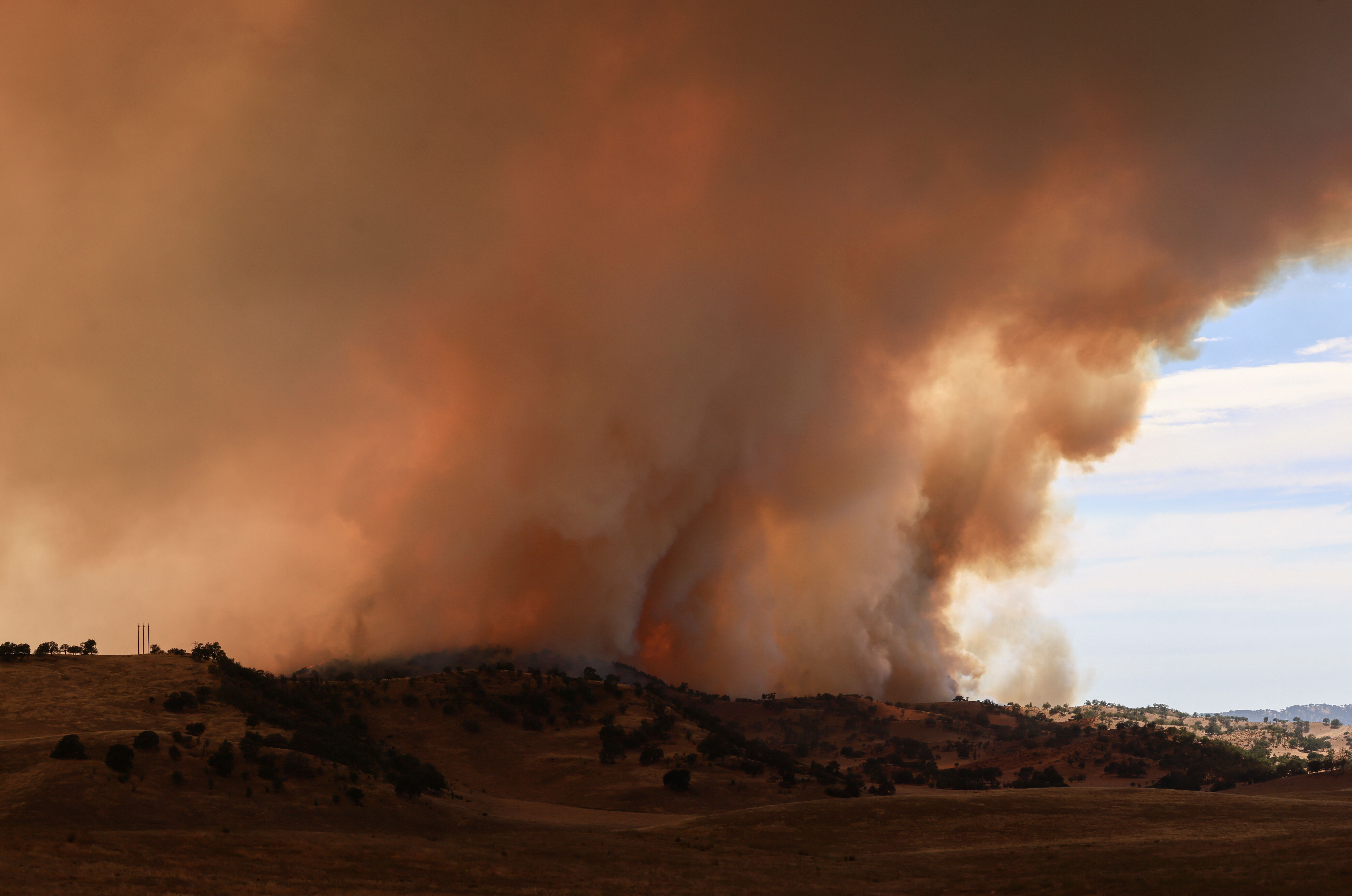 ▲▼ 美國加州「馬德雷大火」（Madre Fire） 。（圖／路透）