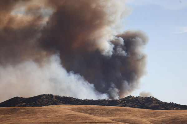▲▼ 美國加州「馬德雷大火」（Madre Fire） 。（圖／路透）