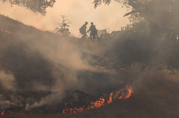 ▲▼ 美國加州「馬德雷大火」（Madre Fire） 。（圖／路透）