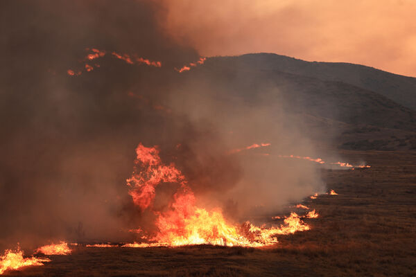 ▲▼ 美國加州「馬德雷大火」（Madre Fire） 。（圖／路透）
