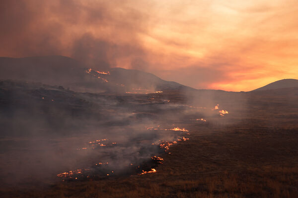 ▲▼ 美國加州「馬德雷大火」（Madre Fire） 。（圖／路透）