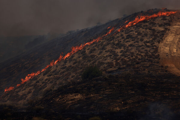 ▲▼ 美國加州「馬德雷大火」（Madre Fire） 。（圖／路透）