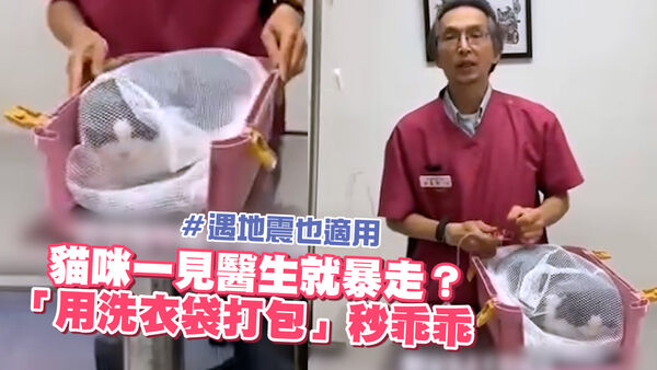 貓咪洗衣袋。（圖／粉專麻雀醫師の日常提供）