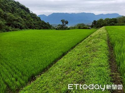 花蓮鼓勵農友種田兼做保育　說明會起跑並受理申請