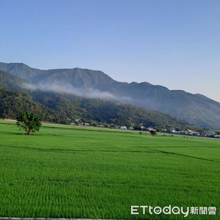 ▲▼為保護淺山和平原的農田與濕地生態系，花蓮縣政府配合中央推動重要棲地生態服務給付計畫。（圖／花蓮縣政府提供，下同）