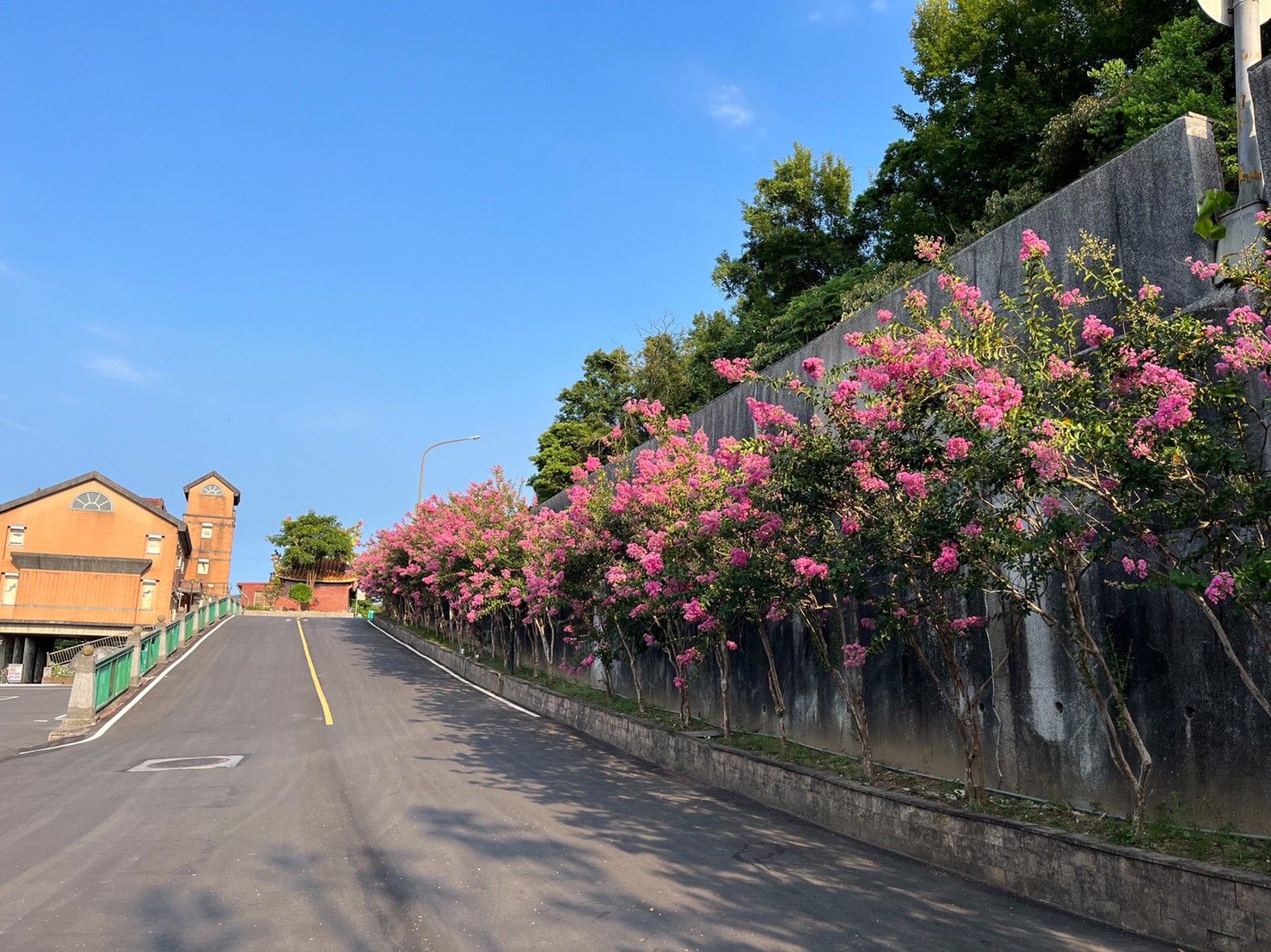 ▲新北雙公園推親吻日賞花輕旅行。（圖／新北市景觀處提供）