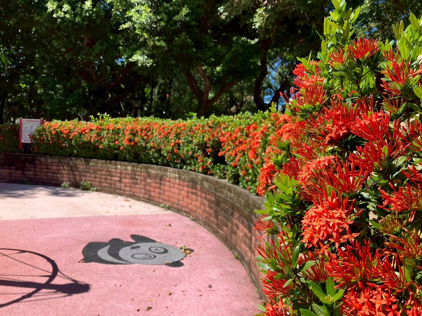 ▲新北雙公園推親吻日賞花輕旅行。（圖／新北市景觀處提供）