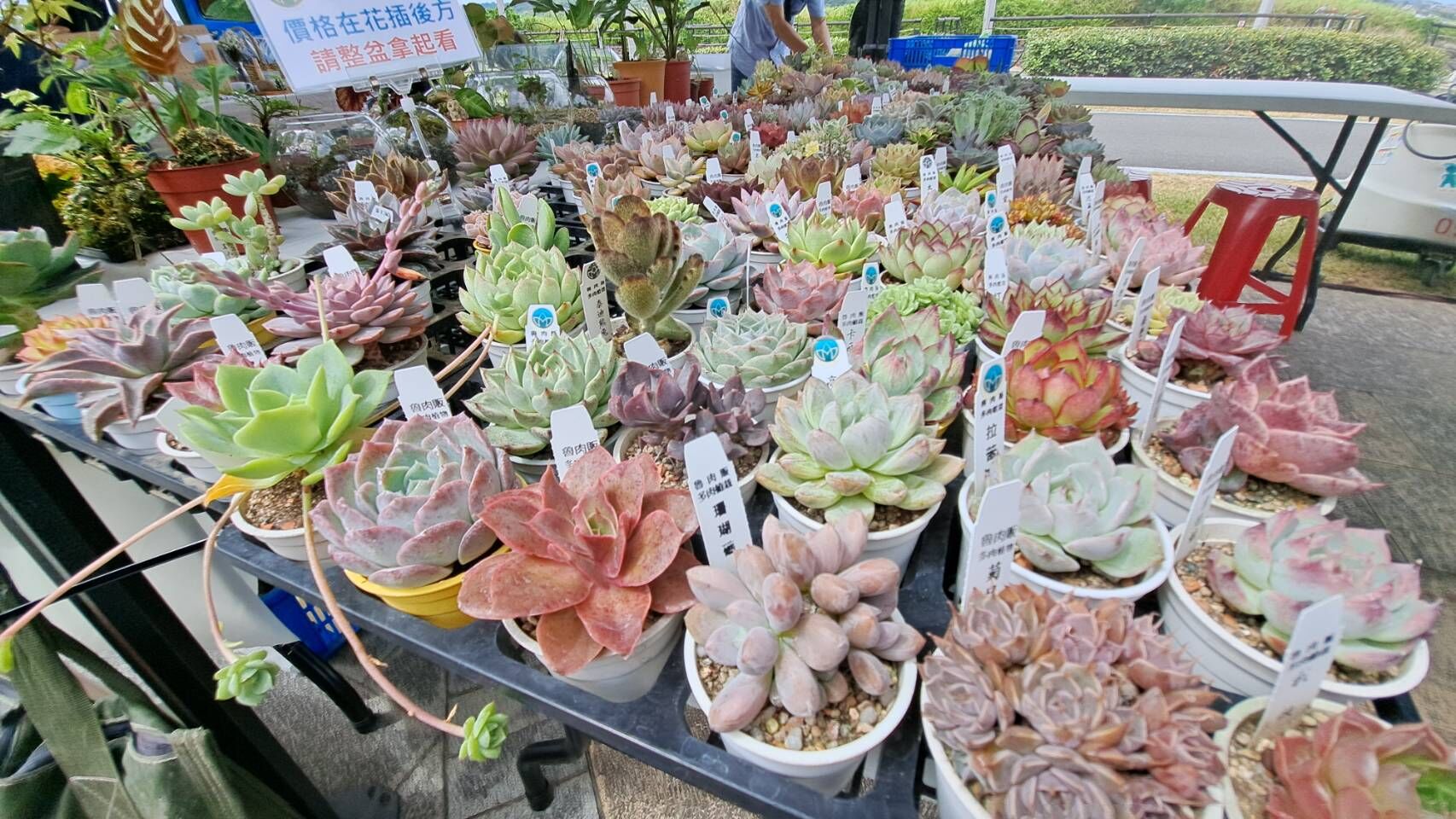 ▲新北首辦「植癒蒔光節」。（圖／新北市農業局提供）