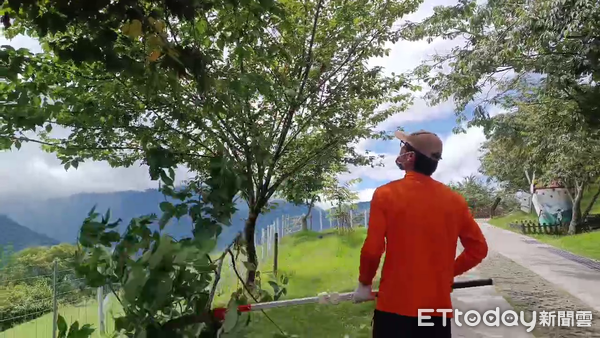 ▲▼清境農場加強枝條修剪及發電機測試。（圖／清境農場提供）