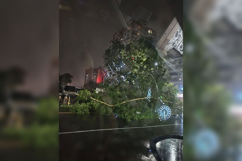 ▲▼高雄強風豪雨，楠梓路樹倒塌。（圖／翻攝臉書／左營楠梓人）