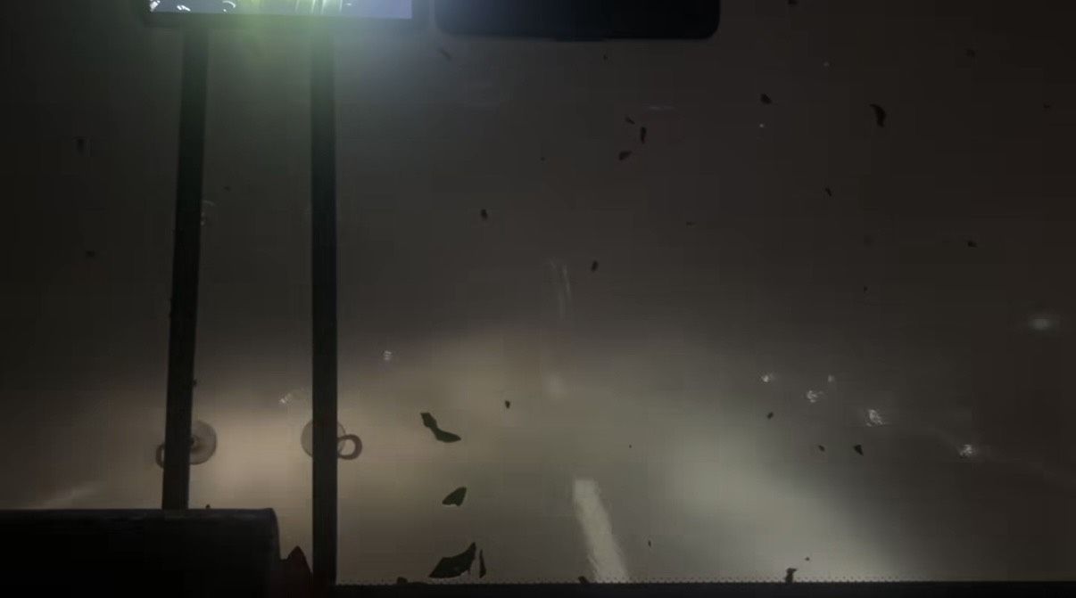 ▲高任孝貼出球隊巴士在暴雨中行駛國道的驚險影片。翻攝自kao.07.26