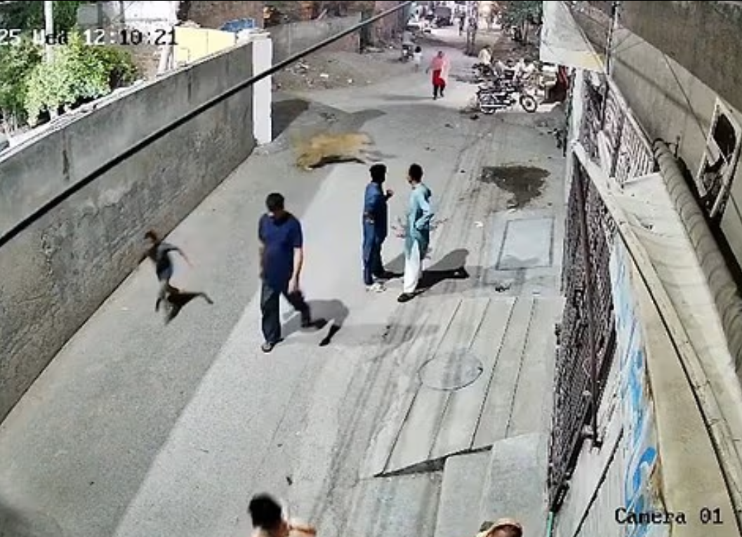 ▲▼寵物獅子越獄「攻擊3母子」！驚恐畫面曝。（圖／翻攝自X）