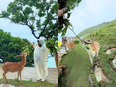 特搜馬祖5大療癒行程！