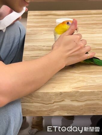 ▲。（圖／IG鳥仔咖Jiao Cafe提供，請勿隨意翻拍，以免侵權。）